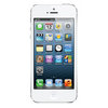 Apple iPhone 5 16Gb white - Железногорск