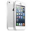 Apple iPhone 5 64Gb white - Железногорск